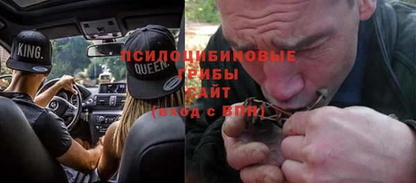 хмурый Ладушкин