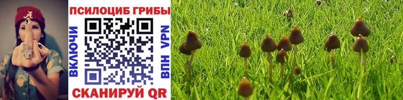 Галлюциногенные грибы Cubensis  Купить  Нягань 